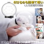 猫 口輪 ペットマスク ペット 口輪 通気性 透明 爪切り補助用 噛みつき防止 拾い食い防止 装着簡単 ブラッシング 猫の爪切り 送料無料 Komii