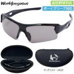 ワールドペガサス 野球 サングラス 高校野球 ルール対応 ケース付き WORLD PEGASUS WP-SET01