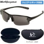 2024 year new model world Pegasus baseball for children for women sunglasses case attaching WORLD PEGASUS WP-SET02-JR