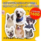 写真入れ  メモリアルクッション もこもこ両面印刷 誕生日プレゼント ペット供養 クッション かわいい オリジナル オーダー 犬 猫 写真 メモリアルグッズ