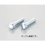 0900-061-00004 六角ボルト（ユニクロ） 6X25/2PC KCON KITACO(キタコ) ネコポス対応