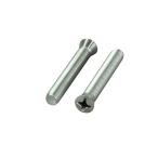 031175-70 丸皿＋小ネジＭ８Ｘ５５ 2PCS POSHフェイス