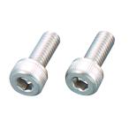 710410-S2 フロートチャンバー用ステンボルト 2PCS/SET POSHフェイス ネコポス対象商品