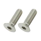 990620-S2 サラキャップボルトセット M6x20 (2pcs) ステンレス 2PCS/SET POSHフェイス