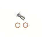 ETP316 BANJOボルト シングルSWAGEヨウ 1.00ブレンボ ステン Swage Line(スウェッジライン)