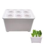 ADOFUN гидропонная культура комплект нет почва культивирование box 6 дыра гидропонная культура огород растения выращивание салон .... культивирование комплект фрукты / овощи / цветок долговечность материалы простота установки 