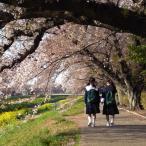 Yahoo! Yahoo!ショッピング(ヤフー ショッピング)コーヒー豆 コーヒー 珈琲豆 4.5月限定 送料無料 期間限定 コーヒー豆 200g スプリングブレンド 自家焙煎