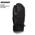 17-18 GOLDWIN（ゴールドウィン）【在庫処分商品】 Leather Mountain Glove （レザーマウンテングローブ）G81700P【スキーグローブ】