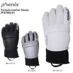 18-19 PHENIX（フェニックス）【在庫処分グローブ】 Formula Leather Gloves（フォーミュラー レザーグローブ） PF878GL01【スキーグローブ】
