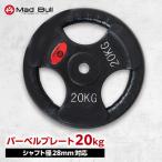 バーベルプレート 20kg 単品 穴あき 追加 筋トレ 重り ホームジム バーベル 用 プレート 穴あきプレート パーツ 鉄アレイ