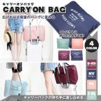 トラベル キャリーオン バッグ 折りたたみ バックインバック 大容量  旅行 携帯 travel bag