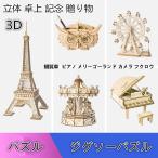 パズル ジグソーパズル 3dパズル 立体もの 組み立て 観覧車 ピアノ メリーゴーランド カメラ フクロウ プレゼント お暇