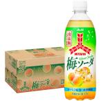 予約 3/31発売 送料無料