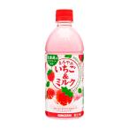 あすつく 送料無料 サンガリア まろやかいちご&ミルク 500ml×48本(2ケース)