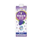 あすつく 送料無料 アサヒ カルピス 巨峰 業務用 希釈用 1000ml 1L×12本