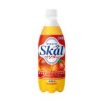 送料無料 南日本酪農 スコール マンゴー 500ml×1ケース/24本