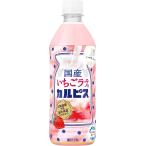 ショッピングいちご 送料無料アサヒ 国産いちごラテ＆カルピス 500ml×2ケース/48本