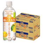 ショッピング炭酸水 送料無料 Dydo ダイドー 和ノチカラ 旬搾り ゆず炭酸水 500ml×2ケース/48本 ビタミンD ビタミンC 栄養機能食品 和のチカラ 健康 サポート ユズ 柚子 炭酸水