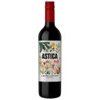  бесплатная доставка тигр pi che Asti kakabe Rene *so- vi nyon750ml× 2 шт три страна вино [ Argentina men do-sa/ красный / полный корпус ]