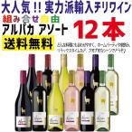 送料無料 ワイン セット 選べるアルパカセット よりどり 12本 750ml×12本 wine