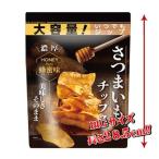 ショッピングさつまいも 送料無料 ドウシシャ さつまいもチップス 蜂蜜味 135g×12袋