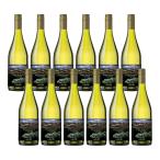 11/16 ограничение все товар P2% бесплатная доставка tera * Anne ti-na Anne tes. большой земля автомобиль rudone750ml×1 2 шт [ красный вино medium корпус Chile ]