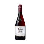  бесплатная доставка Chile вино красный kashero* Dell * Diablo Pinot *nowa-ru750ml× 2 шт 
