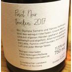 ¥Ô¥Î¡¦¥Î¥ï¡¼¥ë ÀÖ 2020 750ml ¡Ö¼«Á³Çɥ磻¥ó¡× ¥í¡¼¥¿¡¼¥Õ¥¡¡¼¥Ç¥ó Pinot Noir