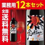 Yahoo! Yahoo!ショッピング(ヤフー ショッピング)【チリワイン】ビッグ・バン レッド 750ml 業務用12本セット 全国送料無料 ギフト発送、ラッピング不可