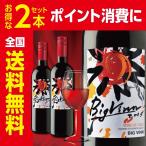 Yahoo! Yahoo!ショッピング(ヤフー ショッピング)【チリワイン】ビッグ・バン レッド 750ml 2本セット 全国送料無料 ポイント消費 ポイント消化に ギフト発送、ラッピング不可