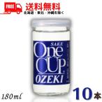 「5/30 +4％,+7% 爆買SALE」 大関 上撰ワンカップ 180ml 10本 清酒 送料無料