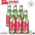 宝酒造 ビューティー スパークリング ぴかぴか白ぶどう 250ml 瓶 6本 リキュール 送料無料