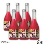 しそ焼酎 赤鍛高譚 たんたかたん 20度 720ml 瓶 6本 合同酒精