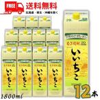 ショッピング無料 いいちこ 焼酎 20度 1.8L 1800ml パック  2ケースセット 12本 麦焼酎 三和酒類 送料無料 (佐川急便限定）