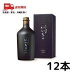 送料無料 いいちこ 焼酎 いいちこ 民陶くろびん 25度 720ml 瓶 2ケース 12本 麦焼酎 三和酒類