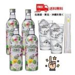 送料無料 いいちこ 焼酎 いいちこネオ iichiko NEO 25度 500ml 瓶 4本 (NEOハイグラス2個とマドラーをプレゼント) ハイボールのための本格焼酎 麦焼酎