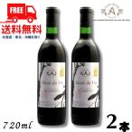 信州ワイン ミュゼドゥヴァン 松本平 ブラッククイーン 赤 辛口 720ml 瓶 2本 アルプス ワイン 送料無料