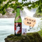 �ؕP�� �������Q 720ml �r 1�{ �s���o�b�`1�t�� �ߓ��� ���Q �n�� ����