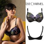 【90E】リズシャルメル LISE CHARMEL フルカップブラ脇補強タイプ(E) 品番ACH6119 インポートランジェリー ※大きめ注意