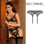 2025秋冬新作 ガーターベルト 品番ACJ4755 リズシャルメル Lise Charmel インポートランジェリー
