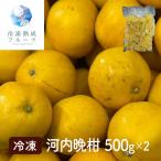 河内晩柑 500g×2パック