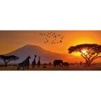 ショッピングポスター インテリアポスター　サバンナの夕日（パノラマ）　風景ポスター　アートポスター
