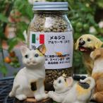 Yahoo! Yahoo!ショッピング(ヤフー ショッピング)コーヒー豆　自家焙煎　メキシコ アルツーラ 200ｇ 焙煎前
