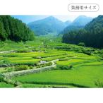 四谷の千枚田 【業務用サイズ】 防水ポスター おふろポスター 銭湯気分