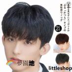 人毛100％ メンズウィッグ 自然 メンズウイッグ 医療用ウィッグ 男性用かつら ウィッグ 黒髪 フルウィッグ 白髪隠し ボリュームアップ 普段使い 軽量 通気性 ヘ