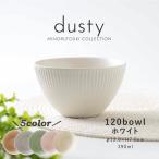 みのる陶器 dusty 小鉢 サラダボウル 