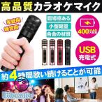 カラオケマイク 家庭用 練習用 高品