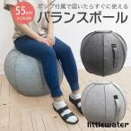 バランスボール 55cm カバー 椅子 エクササイズ おしゃれ バランスツール バランスチェア ボール 簡易ポンプ付き balance-ball