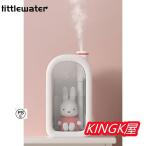 加湿器 LED卓上加湿器 おしゃれでかわいい 小型卓上加湿器 380mL USBポート 静音 持ち運び便利 車載加湿器 お手入れ簡単 空気清浄 空焚き防止 乾燥/花