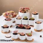 多肉植物鉢 植木鉢 テラコッタ 竹製受け皿付き Sサイズ 観葉植物 ガーデン おしゃれ 北欧 白 部屋飾り 屋外 小型 ミニ鉢 シンプル プランター 陶器 7.2cm 北欧